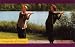 Tele-Gym 22 - Integrales Qi Gong
