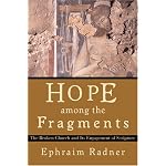 Hope among the Fragments: The Broken Church and Its Engagement of Scripture book cover