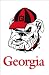 University of Georgia Bulldogs Flag - Garden Size