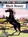 Black Beauty [Animated]