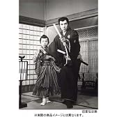 隠密剣士 パーフェクトDVD BOX
