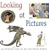 Looking At Pictures