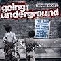 Teenage Kicks Vol 2 - Going Underground