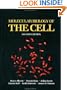 Molecular Biology of The Cell
