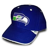 Seattle Seahawks NFL Basic Logo Uncuffed Knit Cap