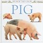 See How They Grow: Pig