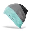 DAKINE Men's Lester Tall Ribbed Beanie