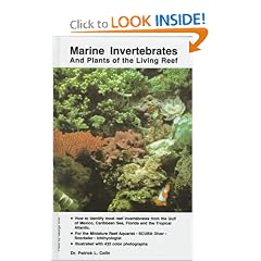 Marine Invertebrates and Plants of the Living Reef