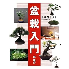 盆栽入門
