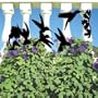 Pattern for Hummingbirds