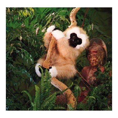 Folkmanis Gibbon Puppet - Buy Folkmanis Gibbon Puppet - Purchase Folkmanis Gibbon Puppet (Folkmanis, Office Products,Categories,Educational Supplies,Drama & Acting Supplies,Puppetry Products)