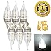 ELETA 6 Pack E12 LED Candelabra / Chandelier Bulbs, Daylight White, 3W, Non-Dimmable, Silver Color Shell, Flame Shape, for Home