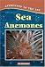 Creatures of the Sea - Sea Anemones (Creatures of the Sea) by Kris Hirschmann