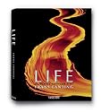 Life: A Journey Through Time