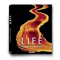 Life: A Journey Through Time