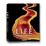 Life: A Journey Through Time
