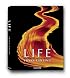 Life: A Journey Through Time