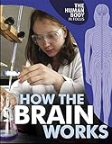 How the brain works