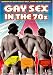 Gay Sex In The 70s (OmU)