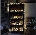 NEWSTYLE 100 LED Lights Copper String 33 Feet Bundle with 12v Adapter and a Remote Control (Warm White)