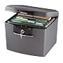 SentrySafe H4100 FIRE-SAFE Waterproof File, 1175 Cubic Inches, Silver Gray