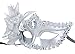 Venetian Style Silver Eye Costume Masquerade Mardi Mask