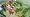 Sid Meier's Civilization Revolution
