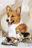 Welsh Corgis