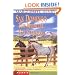 San Domingo : The Medicine Hat Stallion