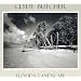 Clyde Butcher Florida Landscape