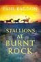 Stallions at Burnt Rock