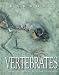 Price Comparison : Vertebrates: Comparative Anatomy, Function, Evolution