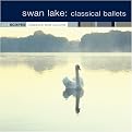 Lifescapes: Swan Lake