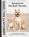 American Pit Bull Terrier