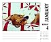 2016 Just Corgis Box Calendar