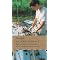 B�cher �ber Forensik/ forensische Anthropologie