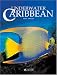 Underwater Caribbean