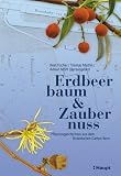 Erdbeerbaum und Zaubernuss - Pflanzengeschichten aus dem Botanischen Garten Bern - Beat Fischer, Thomas Mathis, Adrian M&ouml;hl