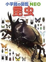 昆虫 (小学館の図鑑NEO)