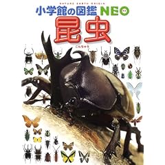 昆虫 (小学館の図鑑NEO)
