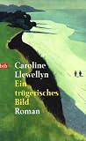 Ein tr�gerisches Bild