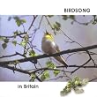 Birdsong in Britain