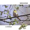 Birdsong in Britain