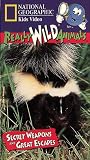 National Geographic's Really Wild Animals: Secret Weapons and Great Escapes