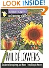 North american wildlife: wildflowers field guide (North American Wildlife Field Guides)