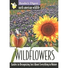 North american wildlife: wildflowers field guide (North American Wildlife Field Guides)