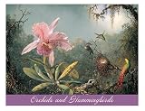 Orchids and Hummingbirds Note Card Portfolio