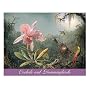 Orchids and Hummingbirds Note Card Portfolio