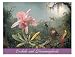 Orchids and Hummingbirds Note Card Portfolio