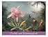 Orchids and Hummingbirds Note Card Portfolio